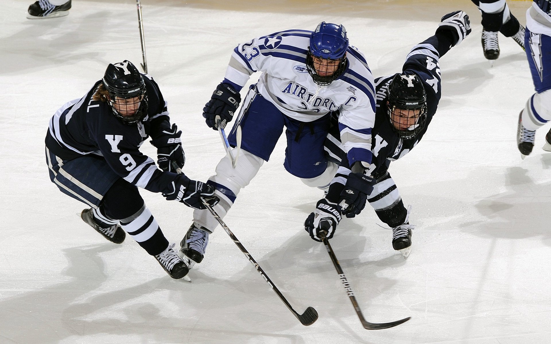 爱游戏网页版-_女性运动员崭露头角，打破性别界限_，女性运动员曝光